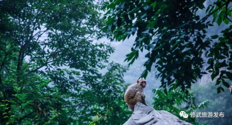 修武，向全世界发出邀请！这个古老的小城，原来可以这么美（惊艳版）