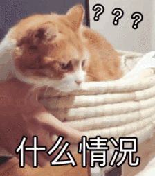 顺丰快递寄发文件有法律效力,顺丰禁止哪些公文邮寄