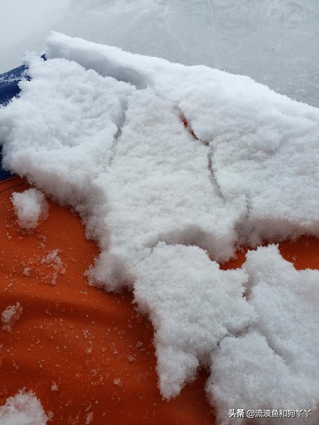 年保玉则现在开放了吗,年保玉则为啥被封