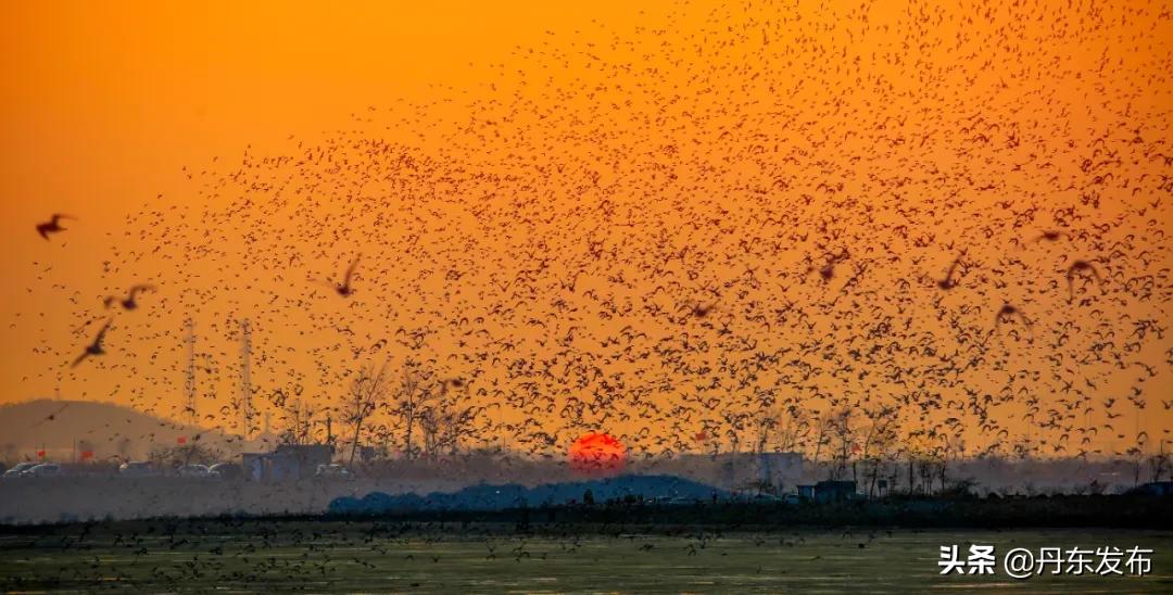五一3-5天短途丹东旅游推荐,五一丹东必打卡自然景观推荐