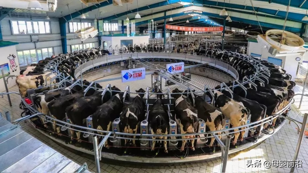 乳业教父郑俊怀,中国乳业教父郑俊怀