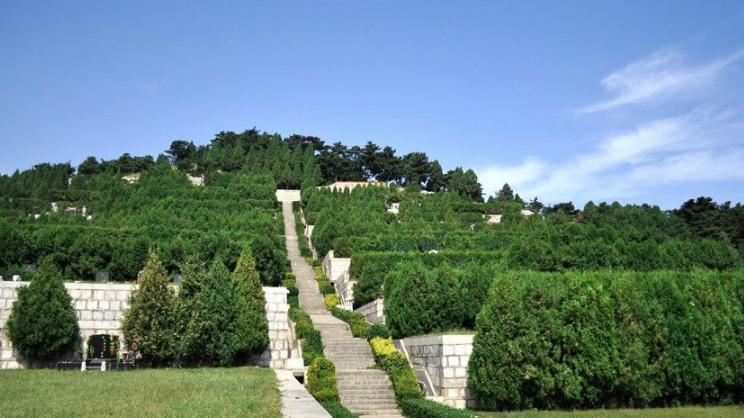 购买墓地要注意事项,购买墓地注意事项有哪些