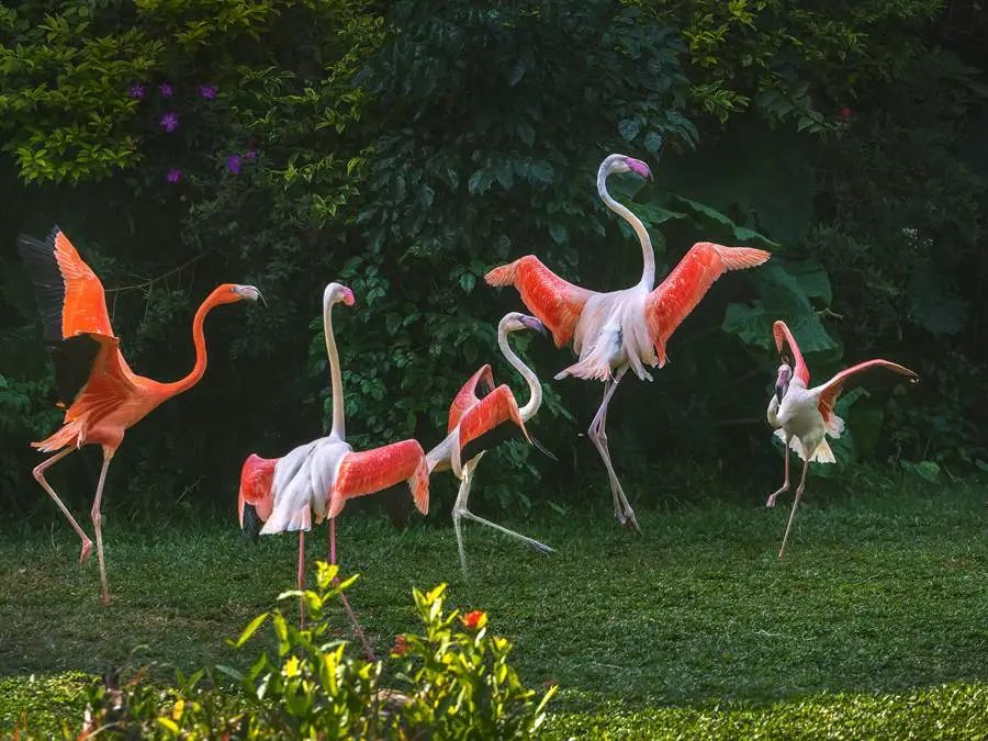 广州长隆儿童欢乐世界春节,广州长隆欢乐世界春游儿童玩什么