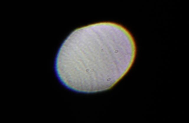 老蛙90mmf2.8镜头测评,老蛙15mmf4.5超广角移轴镜头说明