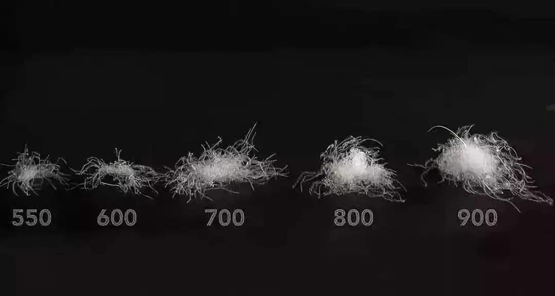 当你还在犹豫要不要买羽绒服,前两天还在纠结要不要买羽绒服穿