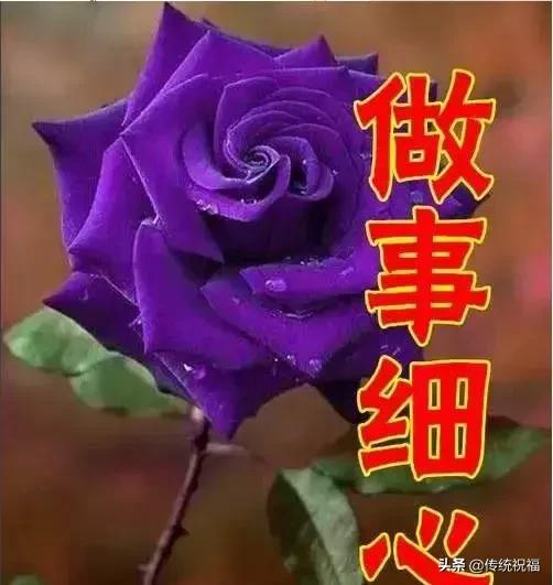 女人节祝福语送给你,最美丽的女人节祝福