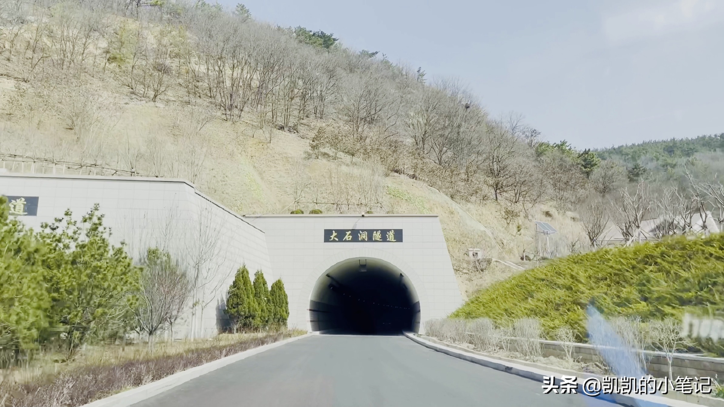 横山寺樱花园门票,横山寺和龙王塘樱花园