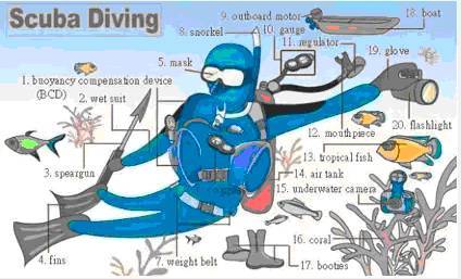 阅途有料丨30张场景单词图，教你记住高频生活词（建议收藏）