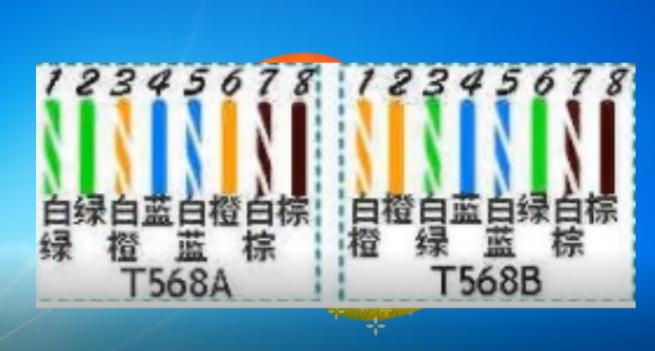 墙内网线接口怎么接图解,网线面板接口怎么接图解