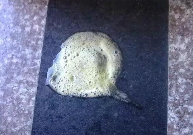 泰迪的5个怪异事,泰迪犬的5个坏习惯