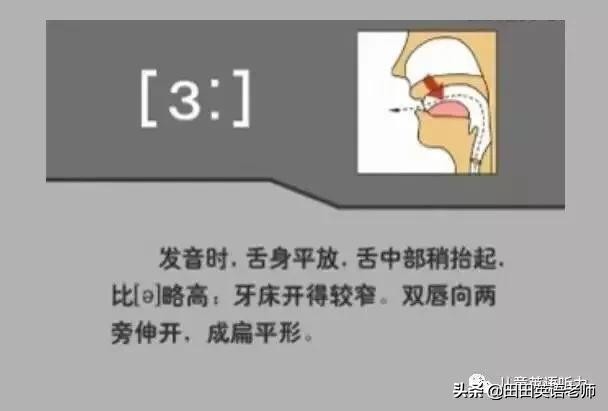 基础英语48个国际音标详解，赶紧来学习！