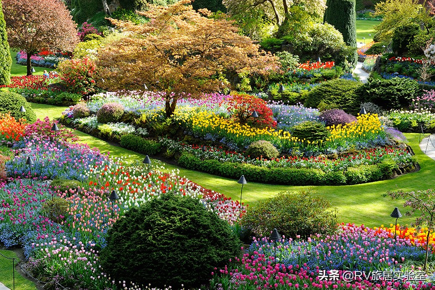 加拿大旅游胜地是哪里,加拿大经典旅游路线推荐一下