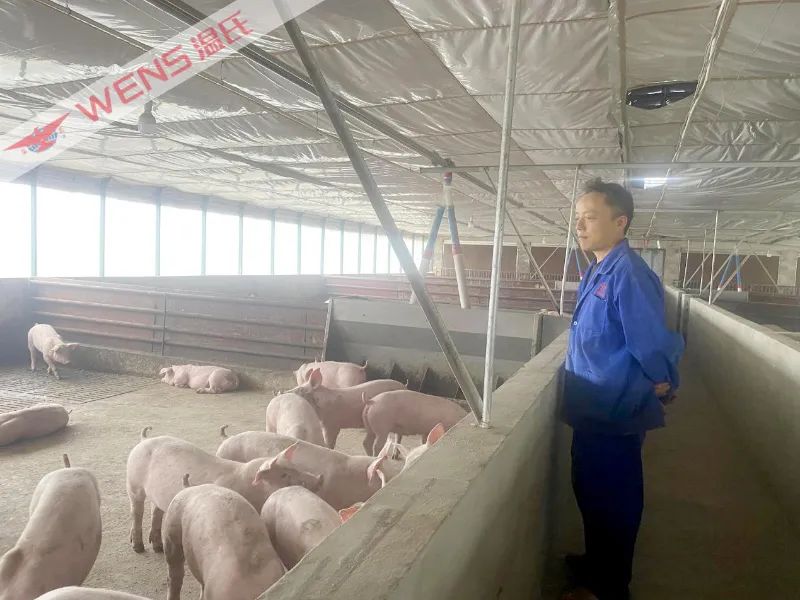 养猪专业户养猪能发家致富吗,农民养猪致富的事迹