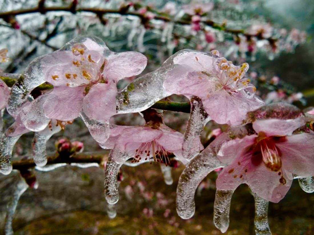大寒节气是哪一天开始,大寒节气在一年的什么时候