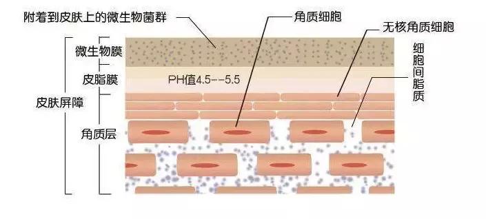 别再被偏方骗了,别再被小窍门忽悠了