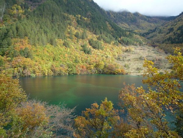 成都九寨沟几月份去好,九寨沟和稻城几月份去
