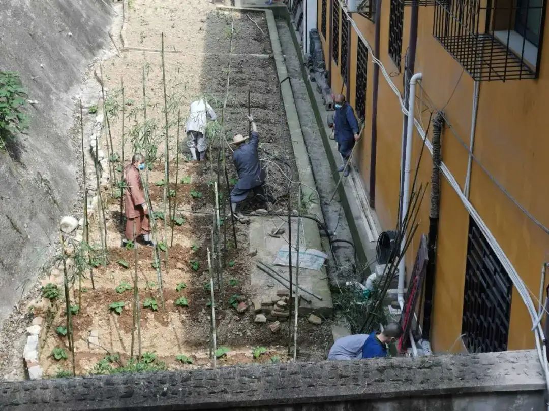 抢抓农时开展农业生产,农民纷纷抢抓春耕生产有利时机