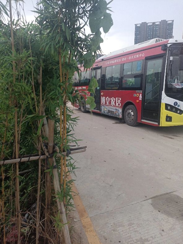 坐公交车去增城,乘公交去乡下