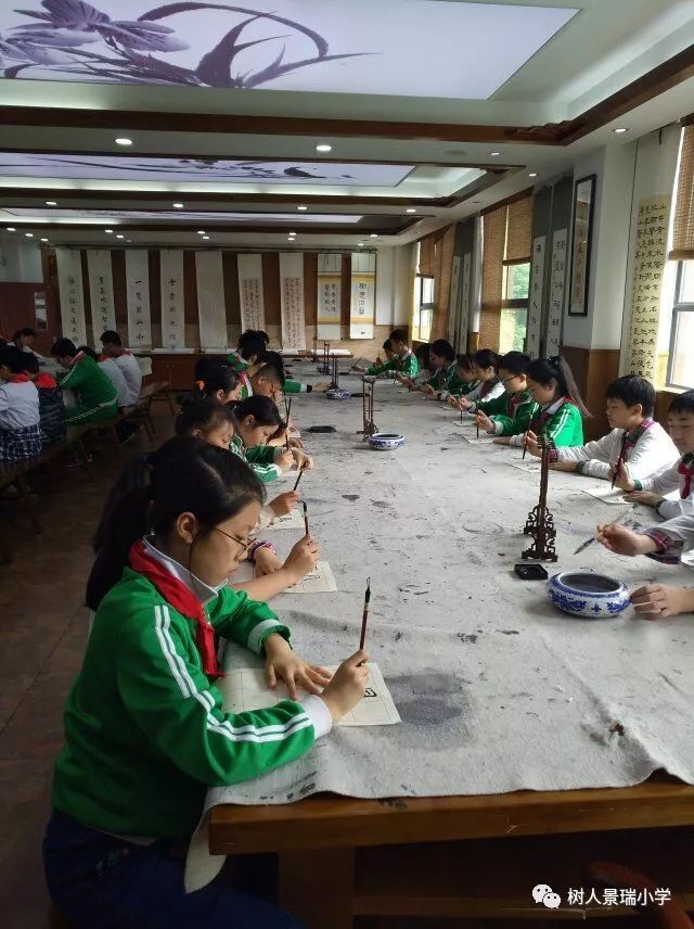 为什么提到树人小学,树人小学为什么好