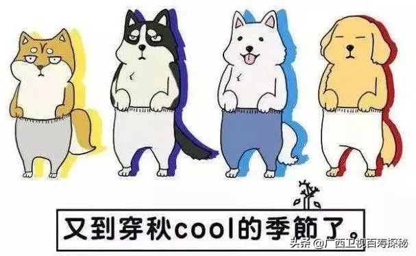 巴马长寿村10年候鸟人真实现状,最新巴马候鸟人真实讲述