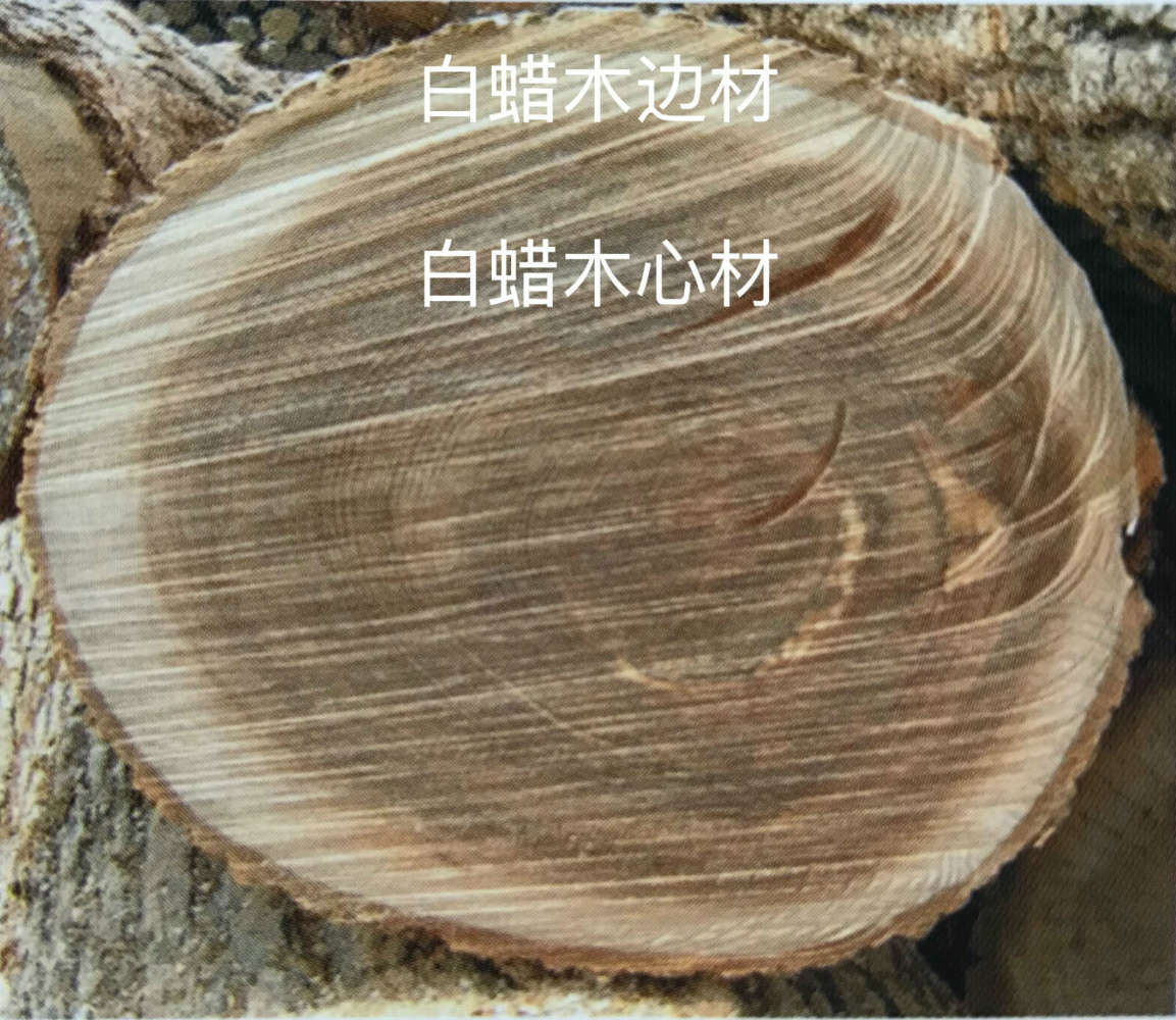 实木沙发测评推荐,小户型沙发品牌测评