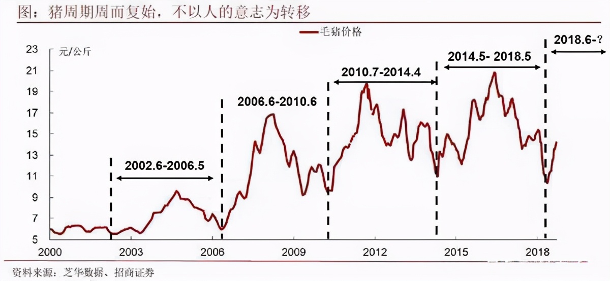 猪周期为啥会消失,猪周期会弱化吗