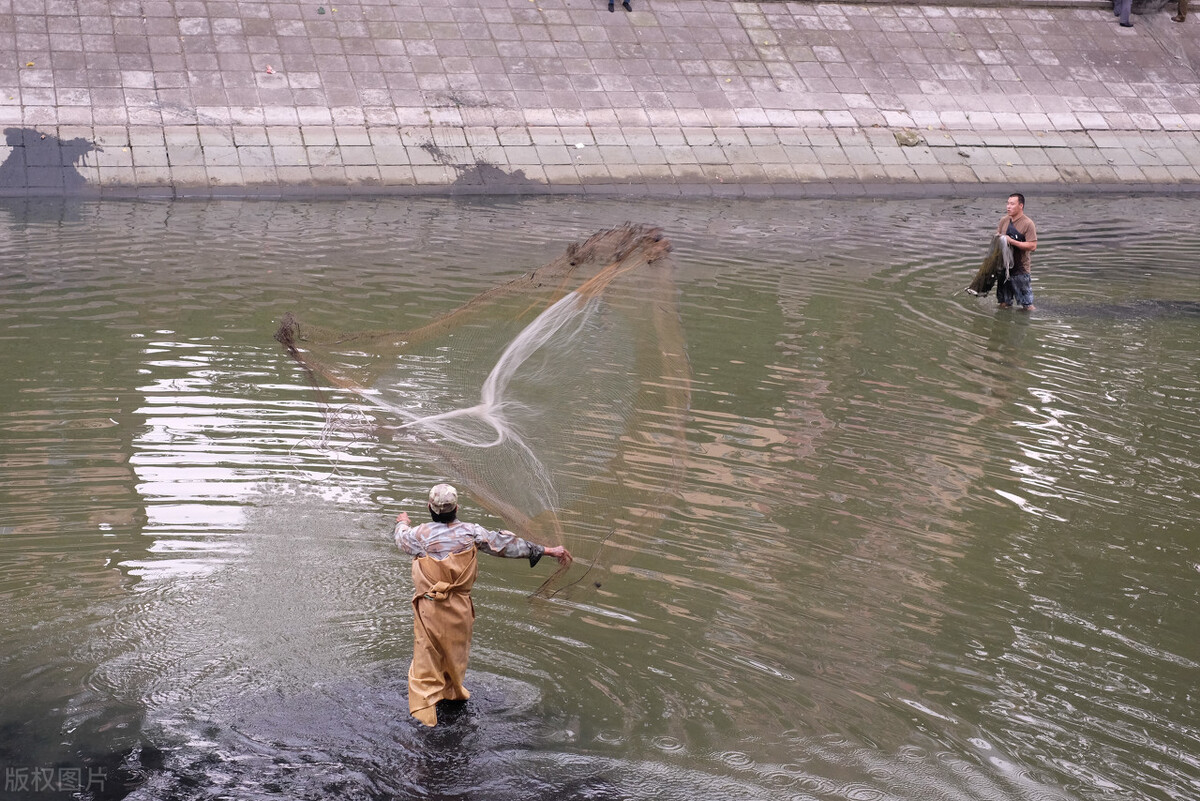 奇葩小国冈比亚,为什么冈比亚这么厉害
