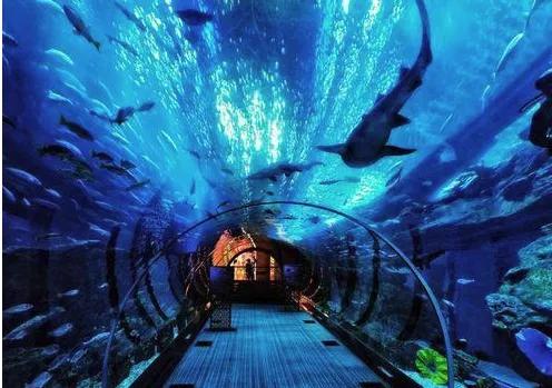 青岛极地海洋馆到底值不值得去,青岛极地海洋馆怎么样值得去吗