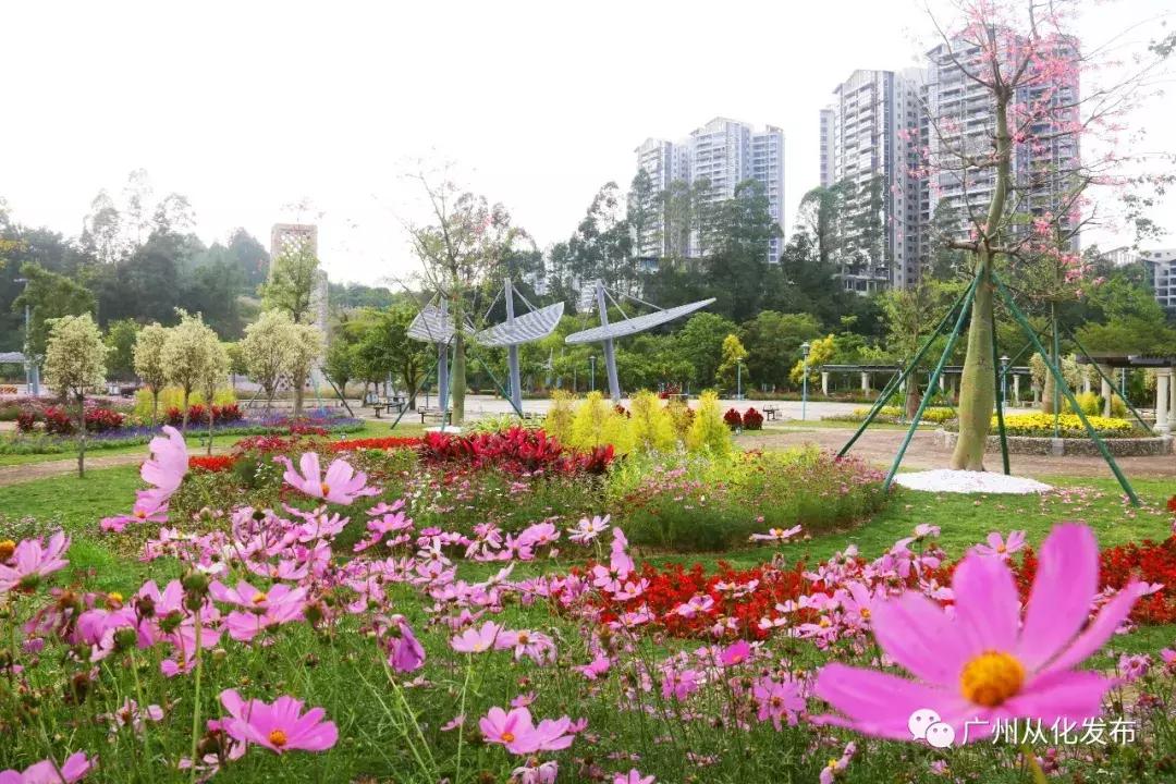 去从化地铁怎样坐,坐地铁怎么去从化