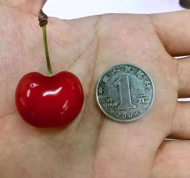 东北五里屯特产排行榜前十名,龙湾特产必买清单