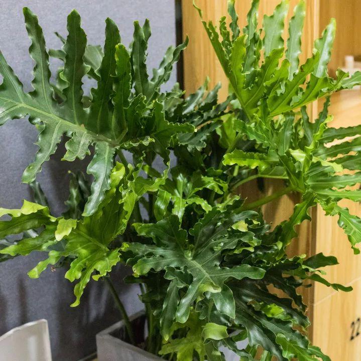 高空自习室深圳,深圳高空自习室