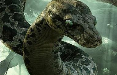 民间传奇故事精选蛇妖报恩,民间故事蛇报恩