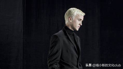 哈利波特德拉科纪念日,哈利波特德拉科的成长