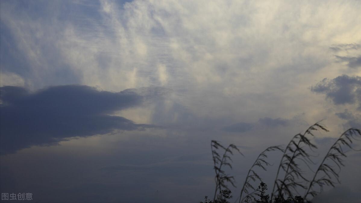 知我者谓何求诗经,诗经王风黍离中靡靡的意思