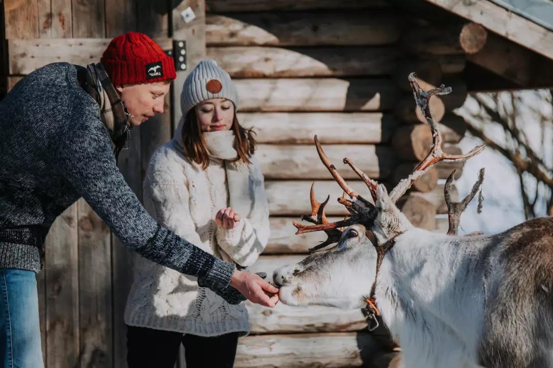 冬季欧洲最值得去旅行的国家,适合冬天旅游的欧洲国家