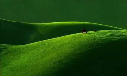 摄影师黑白拍摄技巧,如何让摄影作品透彻清晰