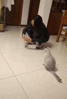 “一个月600买你30句晚安？”哈哈哈，这可恶的虚拟买卖