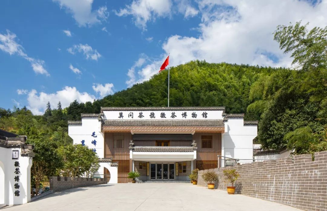 秋日河畔画中小镇，隐于茶园流水，山水间三店新开旅居吃茶慢生活