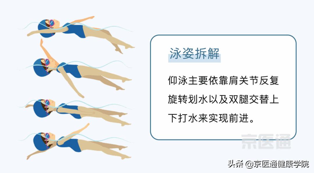 游泳有哪些好处视频,四种泳姿对身体的好处