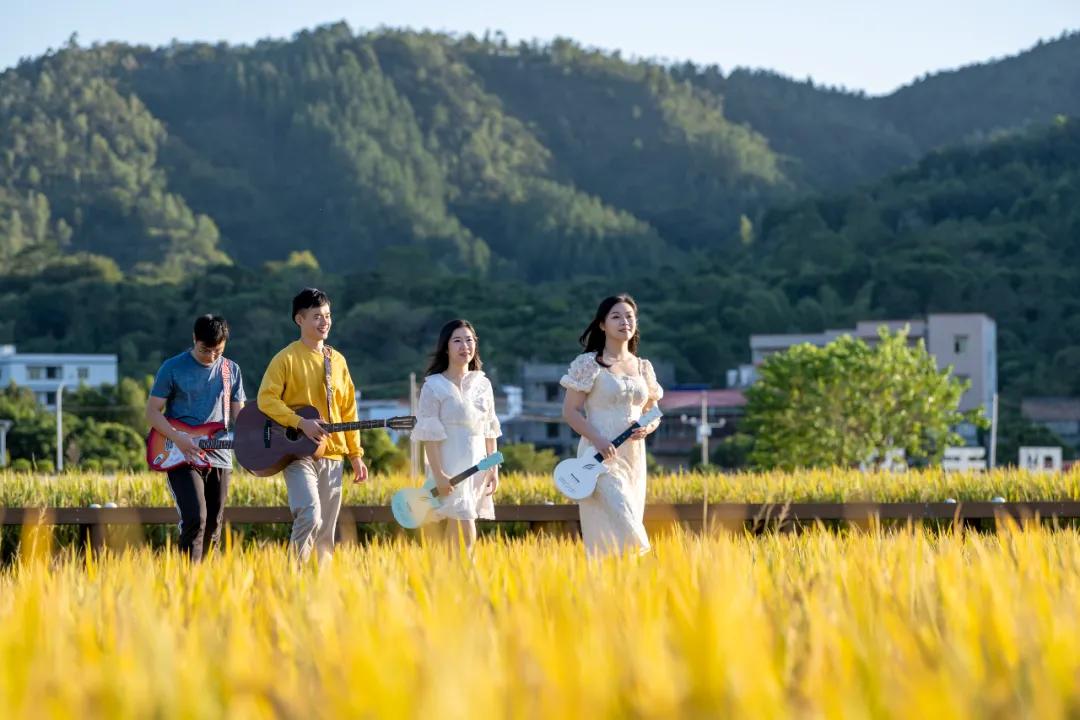 惠阳的稻田,惠阳稻田美景