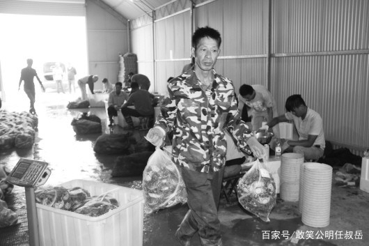 阳澄湖大闸蟹和螃蟹有什么区别,大闸蟹为什么阳澄湖出名