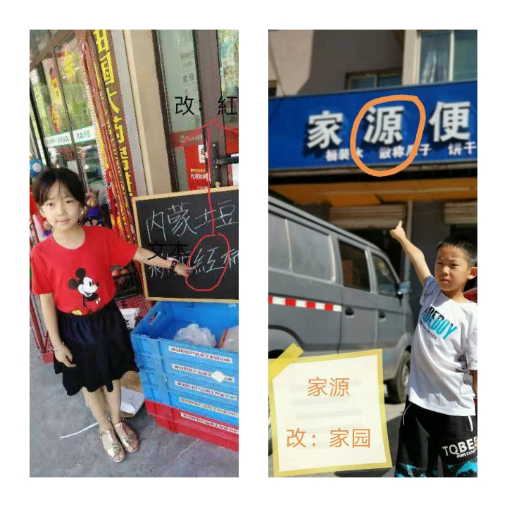 小学啄木鸟行动校外纠正错别字,啄木鸟找错别字实践活动