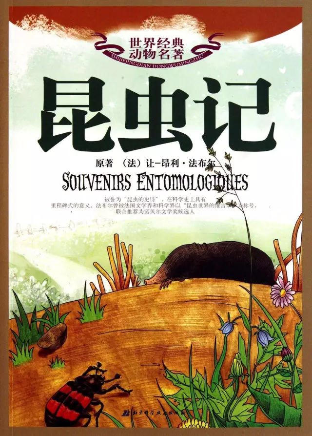 初中3年必读名著知识点汇总,初中三年必考的名著清单