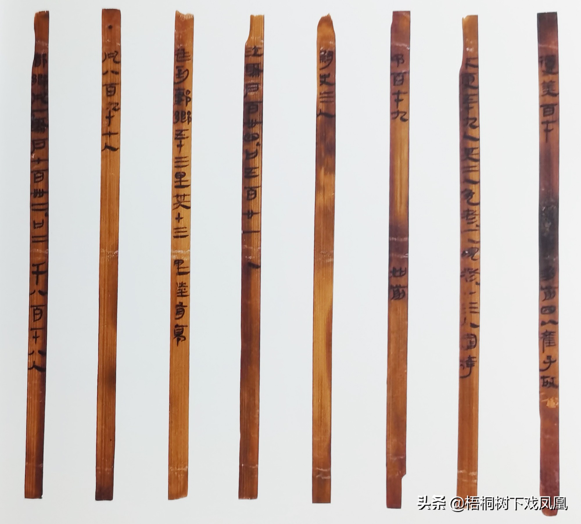 湖南人不怕辣的来历,湖南菜不见辣椒还为什么这么辣