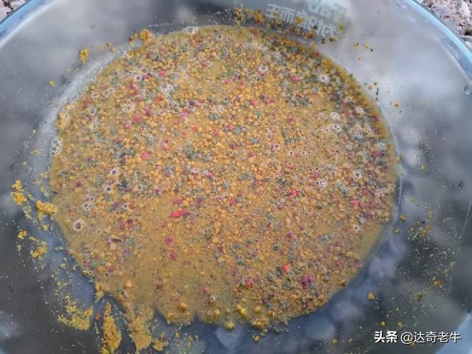 黑坑鲤鱼膨化颗粒饵料,鲤鱼膨化颗粒饲料配方
