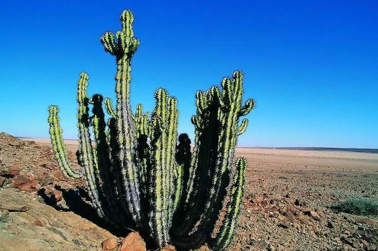 金木水火土科学实验,金木水火土五种元素的秘密