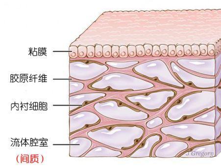 支付宝关闭银行卡为什么还会扣钱,支付宝关闭银行卡是真的吗
