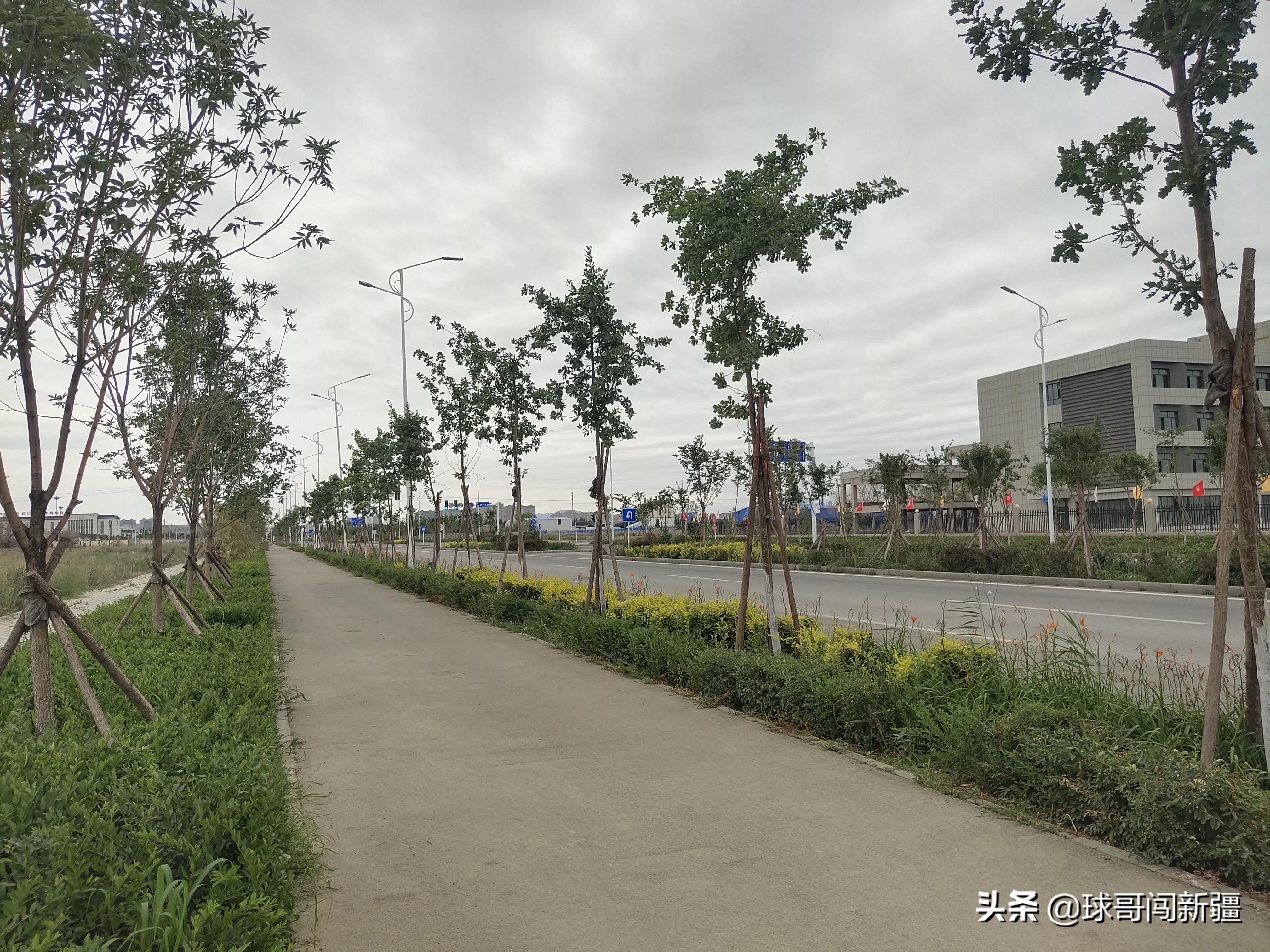 乌鲁木齐老城区教育优势,乌鲁木齐各区实力排行