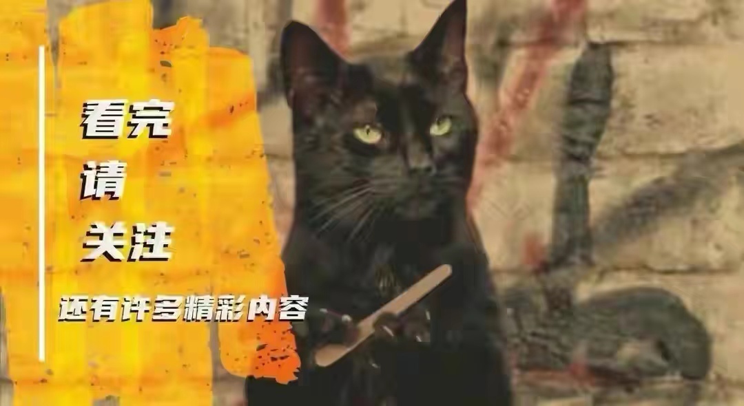 家里的扑棱蛾子哪来的,家里扑棱蛾子是怎么形成的