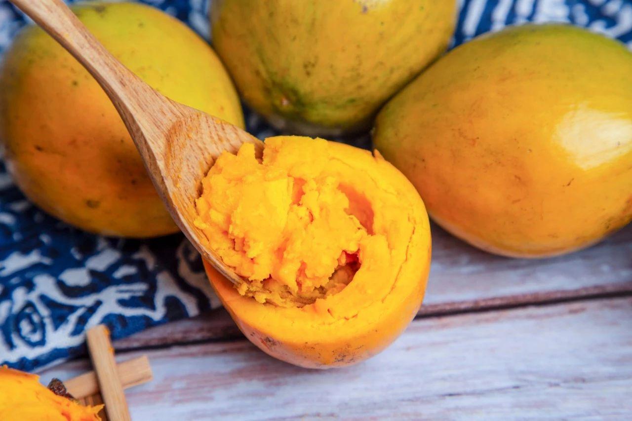 长在树上的鸡蛋果图片,长在树上的鸡蛋